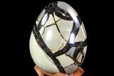 Septarian Dragon Egg Geode - Black Crystals #72004-3